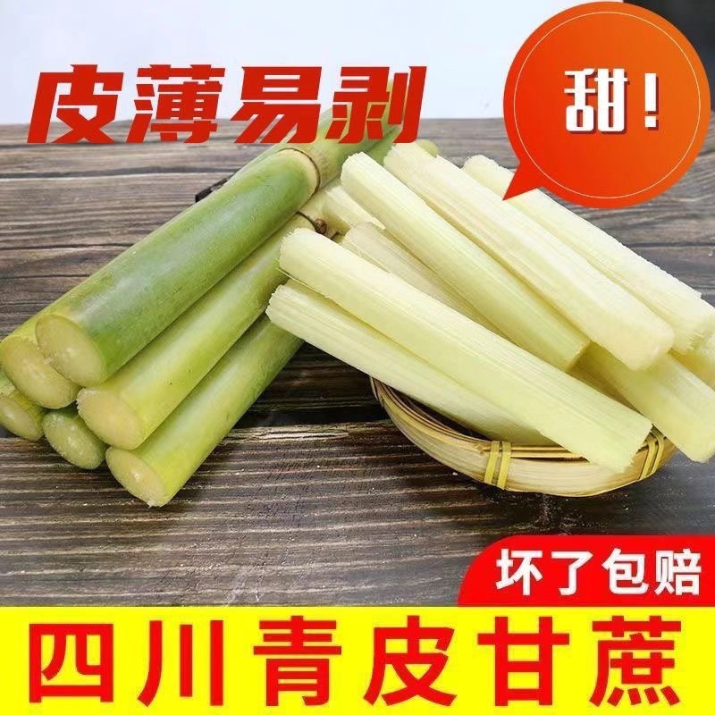 四川攀枝花黄金甘蔗/产区直发/大量有货/欢迎联系