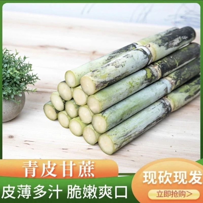 四川攀枝花黄金甘蔗/产区直发/大量有货/欢迎联系