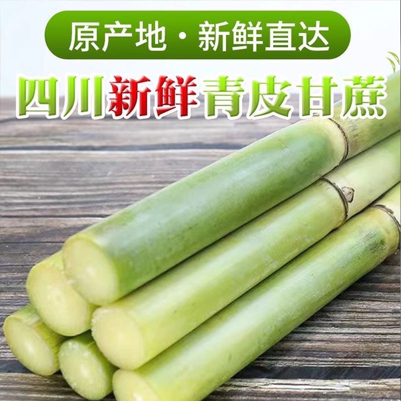 四川攀枝花黄金甘蔗/产区直发/大量有货/欢迎联系