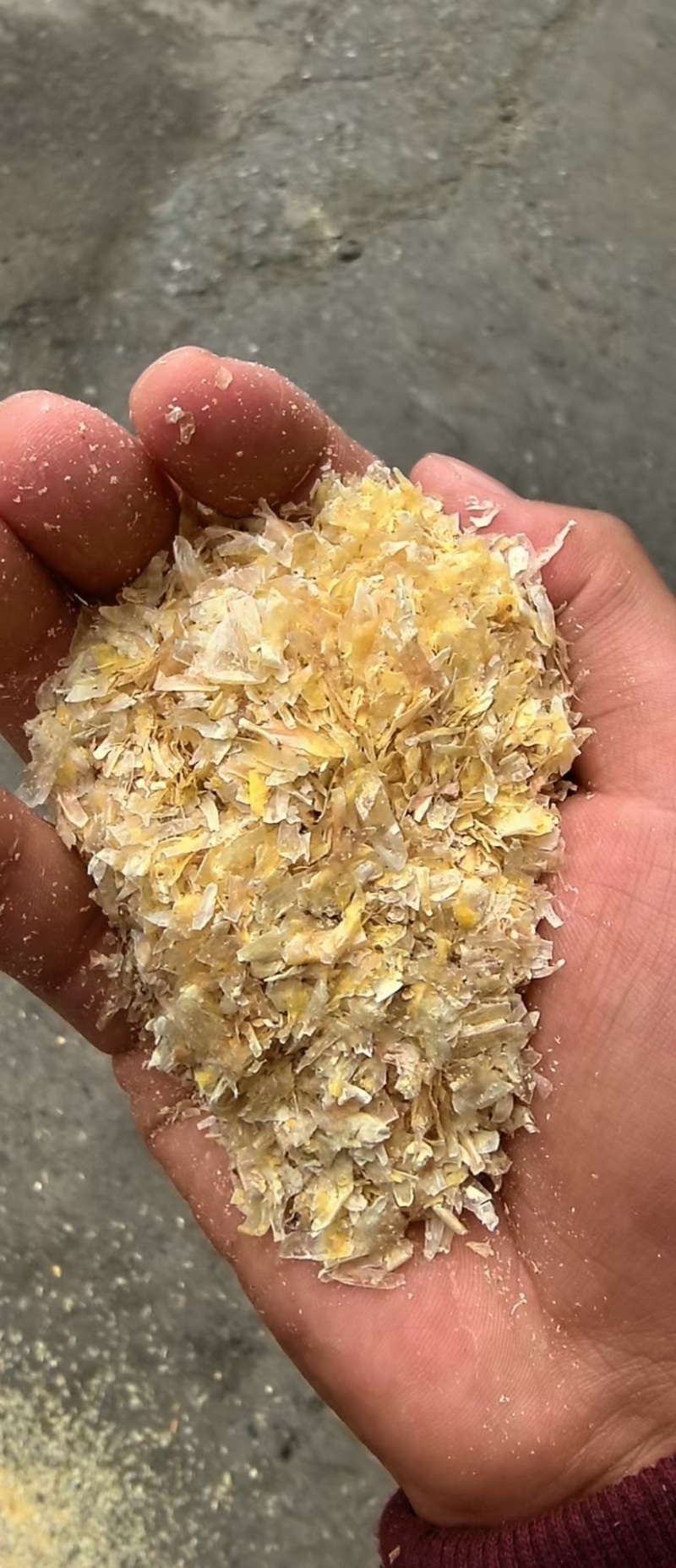 本公司常年出售大片玉米皮质量好营养高适
