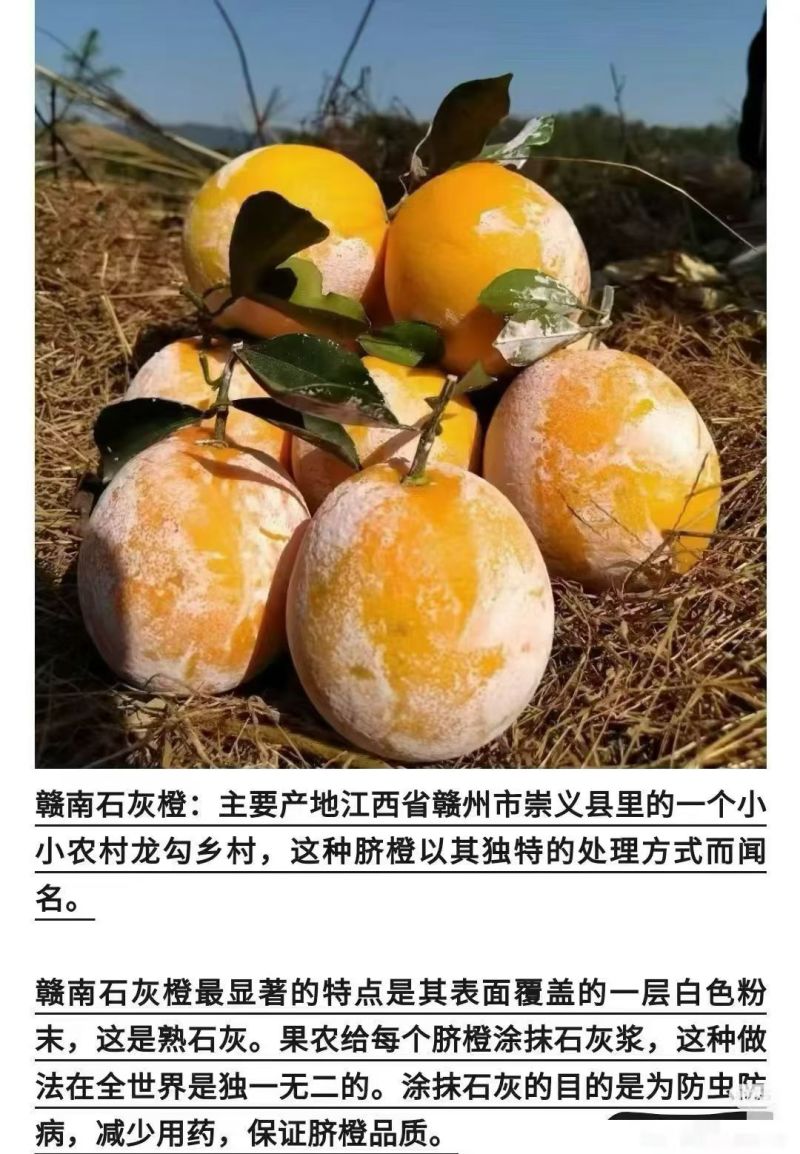 江西省赣州市崇义县赣南脐橙龙勾石灰橙，自家果园直供，量大从优