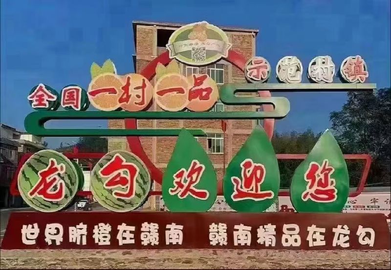 江西省赣州市崇义县赣南脐橙龙勾石灰橙，自家果园直供，量大从优