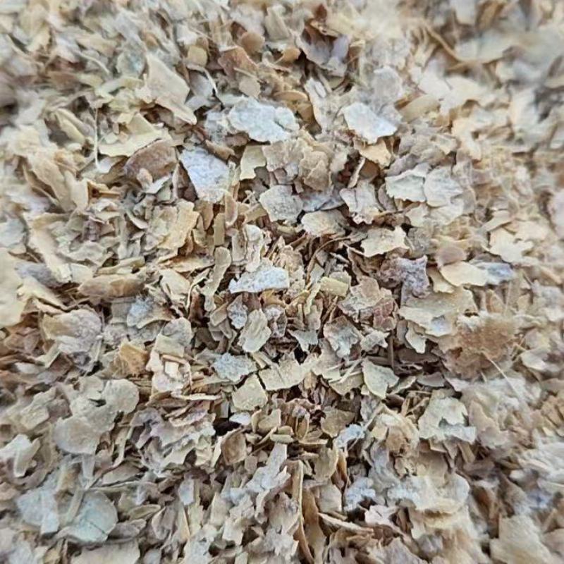 大片麸皮适合各种养殖菌种
