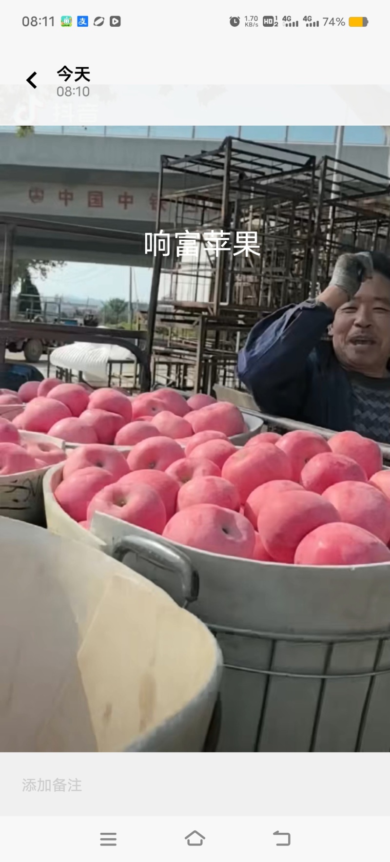 山东烟台栖霞市苹果树苗，响富（三日红）