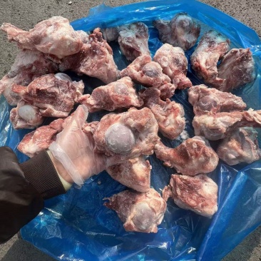 满肉前腿骨块