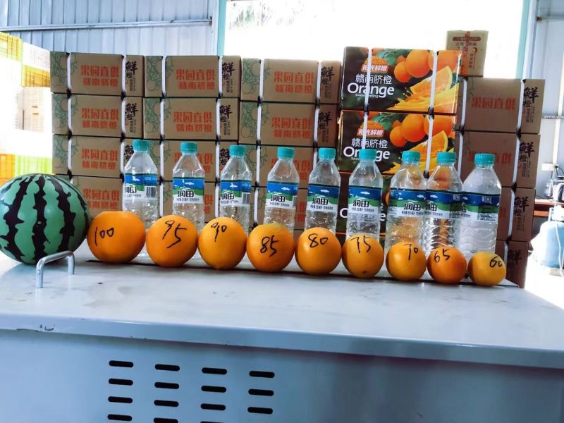 【寻乌产区】赣南脐橙原产地高品质一件代发电商代理货源稳定