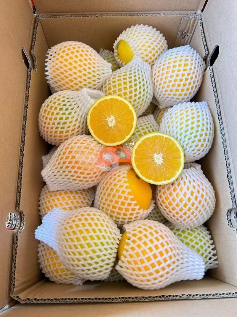 【寻乌产区】赣南脐橙原产地高品质一件代发电商代理货源稳定