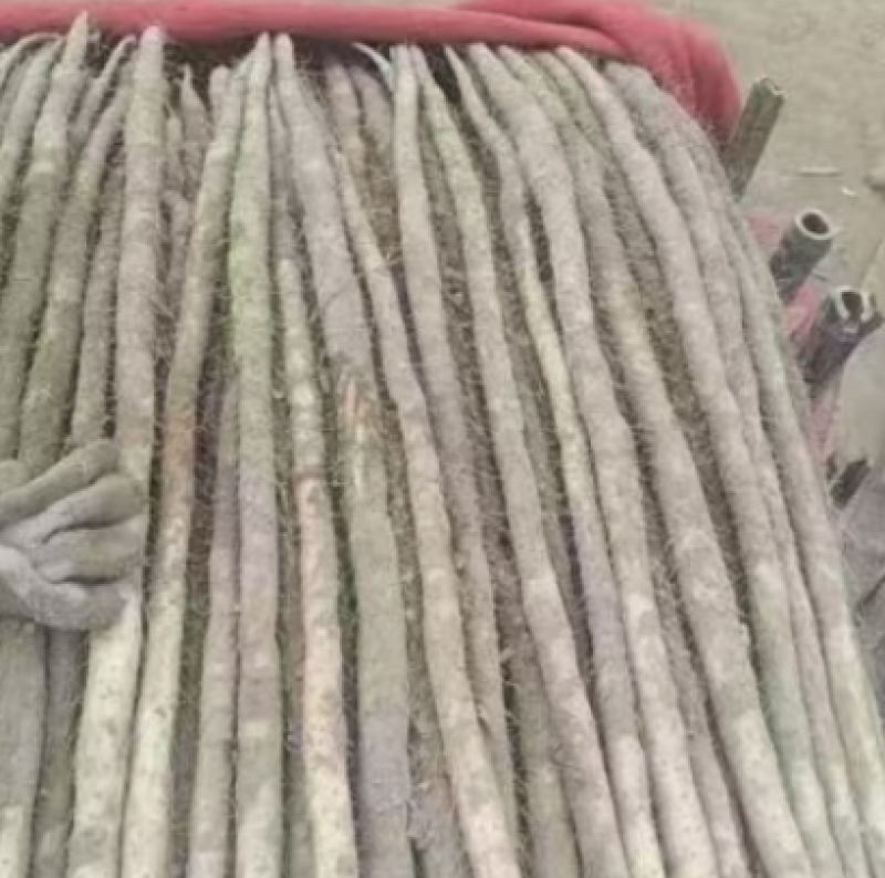 紫药，紫山药，紫玉淮山药，安阳基地直发，欢迎来电