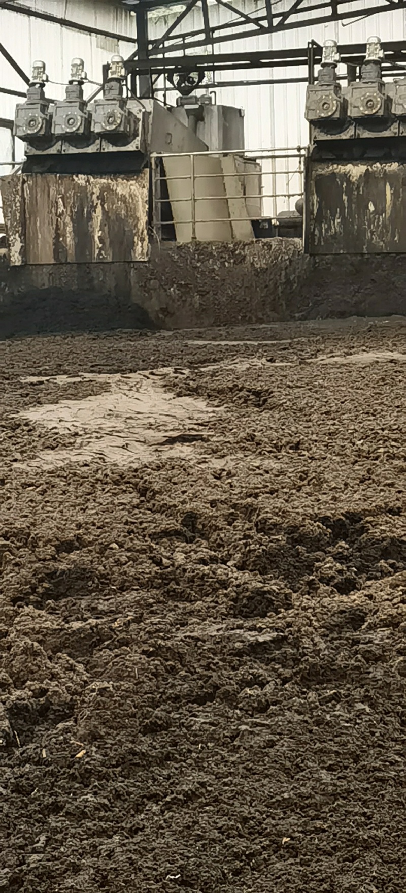 海丰县可种植养鱼湿猪粪