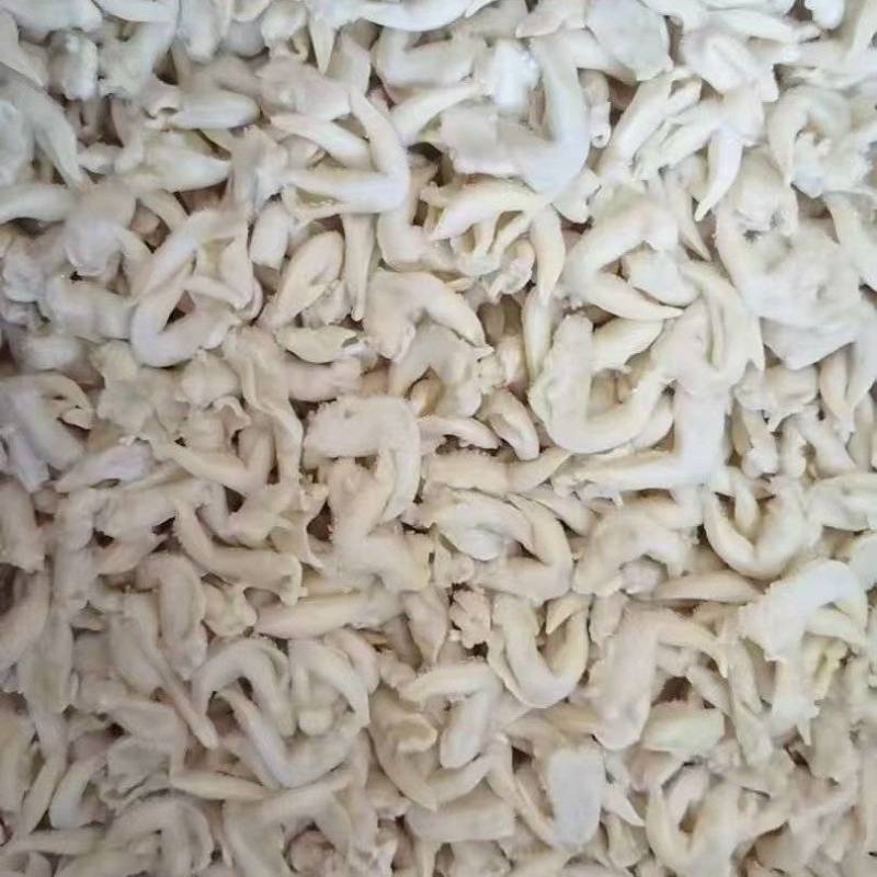 鸟贝肉大量上市，产地直发，品质保证，服务周到