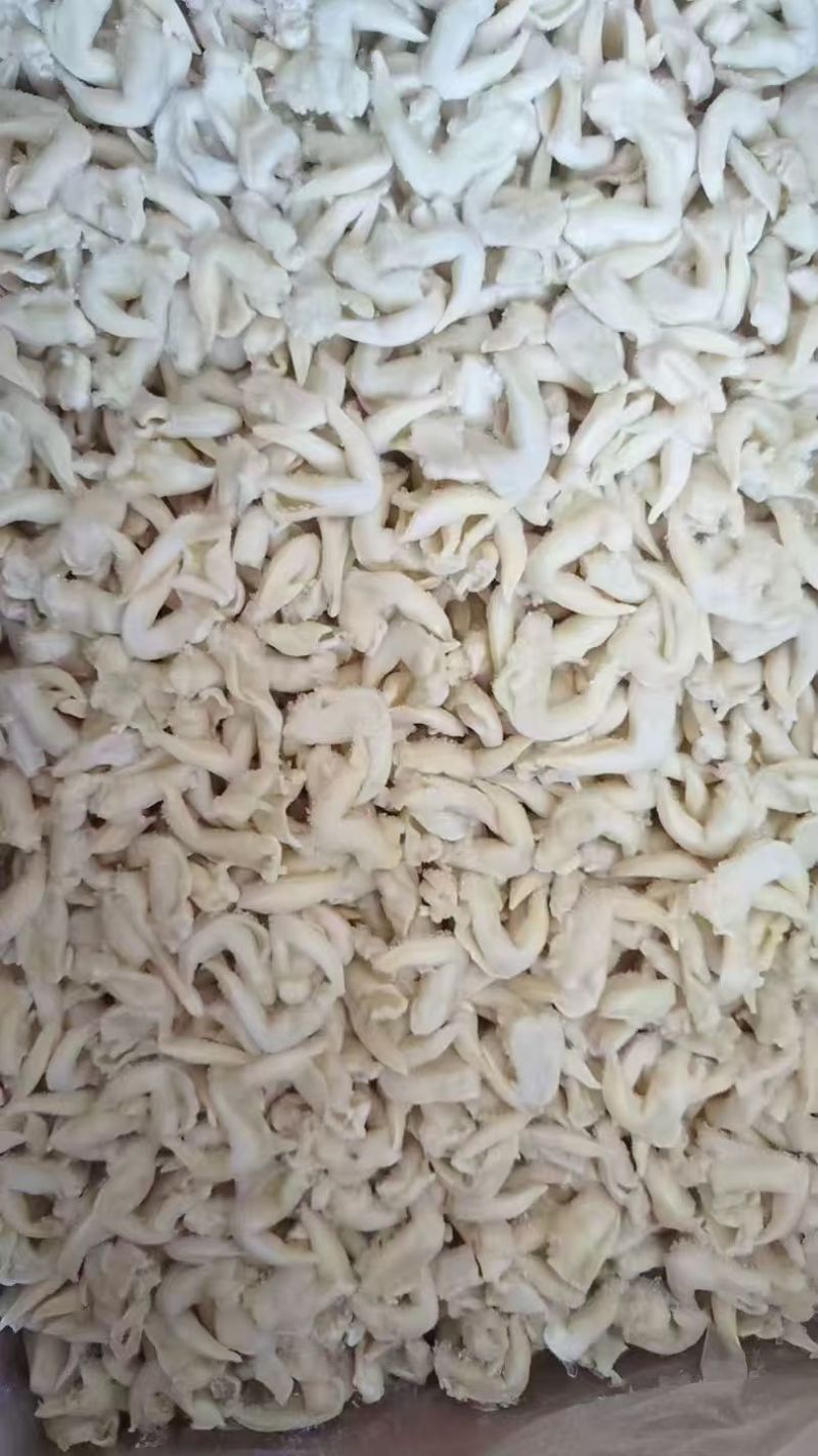 鸟贝肉大量上市，产地直发，品质保证，服务周到