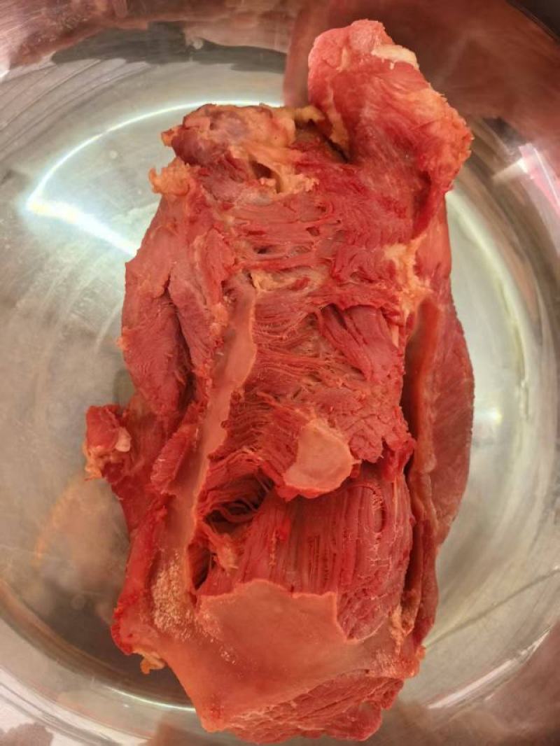 五香猪肉条子肉，大量上市，产地直发，品质保证，服务周到
