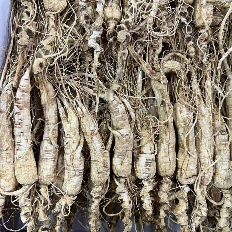 药材基地直发品质保证货源稳定