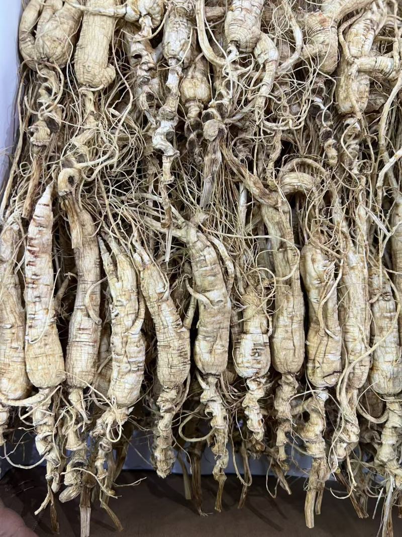 药材基地直发品质保证货源稳定
