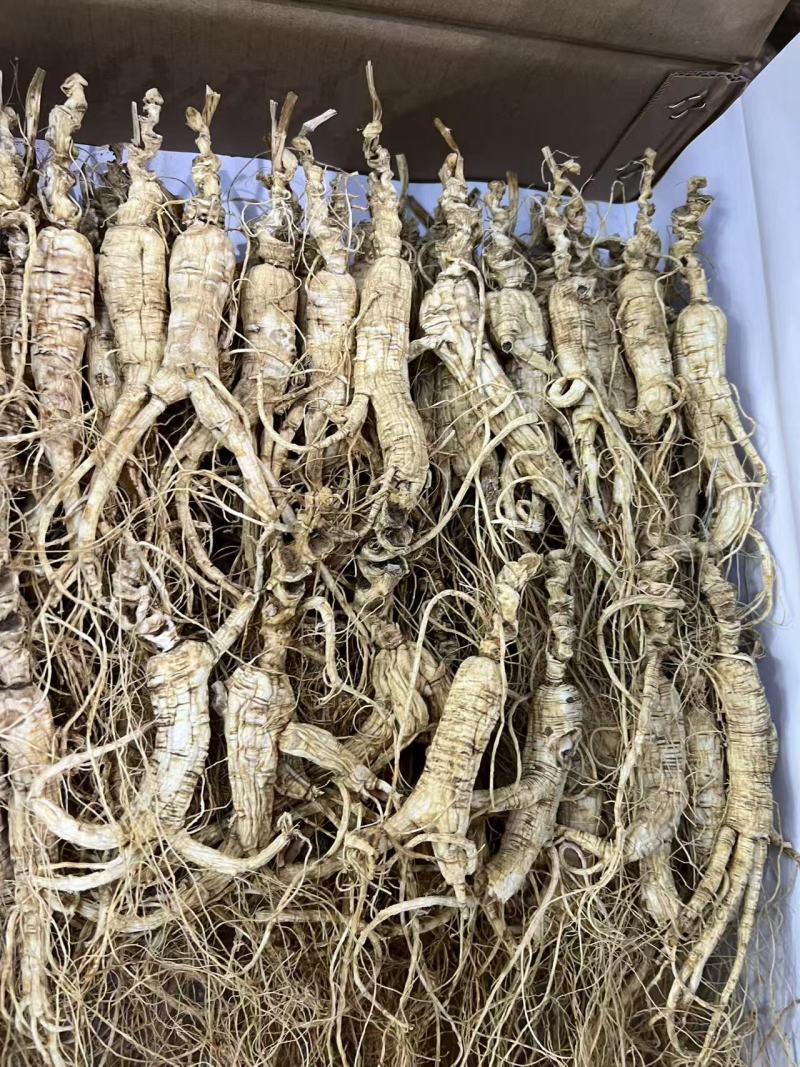 药材基地直发品质保证货源稳定
