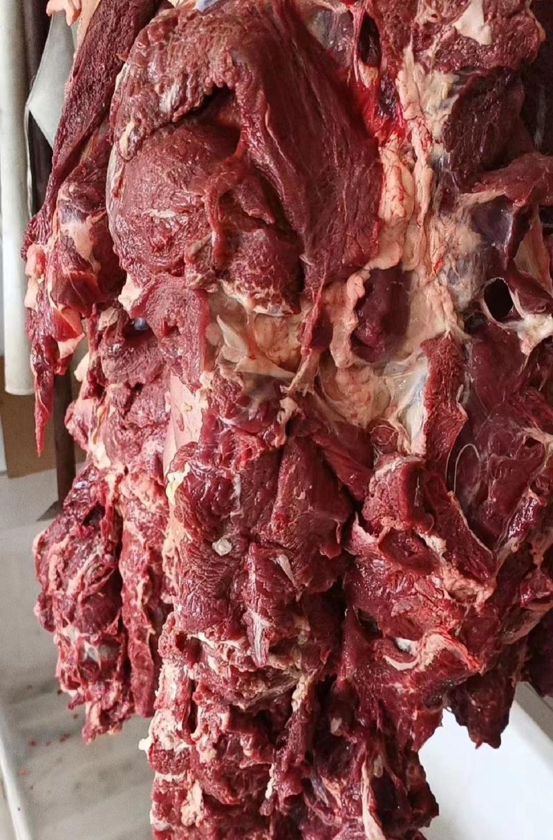 内蒙古全草饲牛肉精分割部位冷鲜肉牧场屠宰发货全程溯源