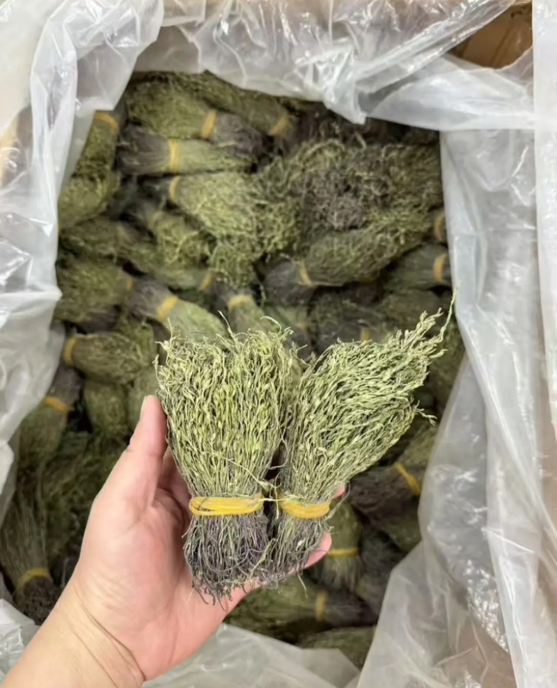 独脚金疳积草自然晾晒吃的放心保质保量对接全国客户