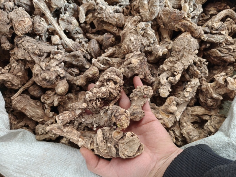 菜当归头足干今年新货当归头煲汤靓货批发代发女性当归