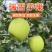 新鲜当季瑞雪苹果赣榆石桥