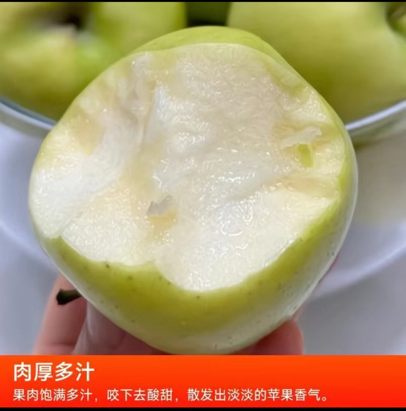 新鲜当季瑞雪苹果赣榆石桥