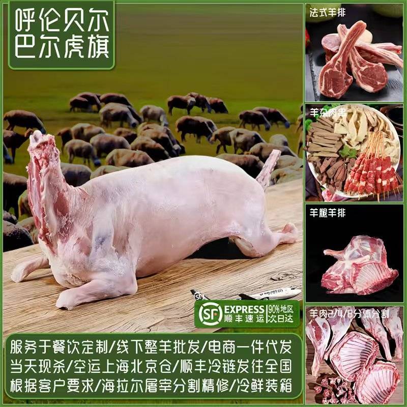 白条羊呼伦贝尔牧场直供精品全草羊代办电商代发线下货运