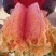 黄心大白菜