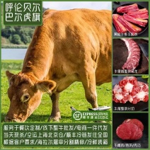 内蒙古全草饲牛肉精分割部位冷鲜肉牧场屠宰发货全程溯源
