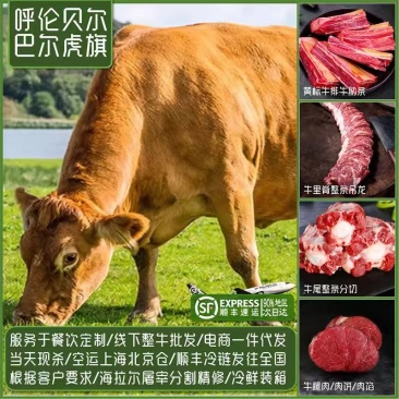 内蒙古全草饲牛肉精分割部位冷鲜肉牧场屠宰发货全程溯源