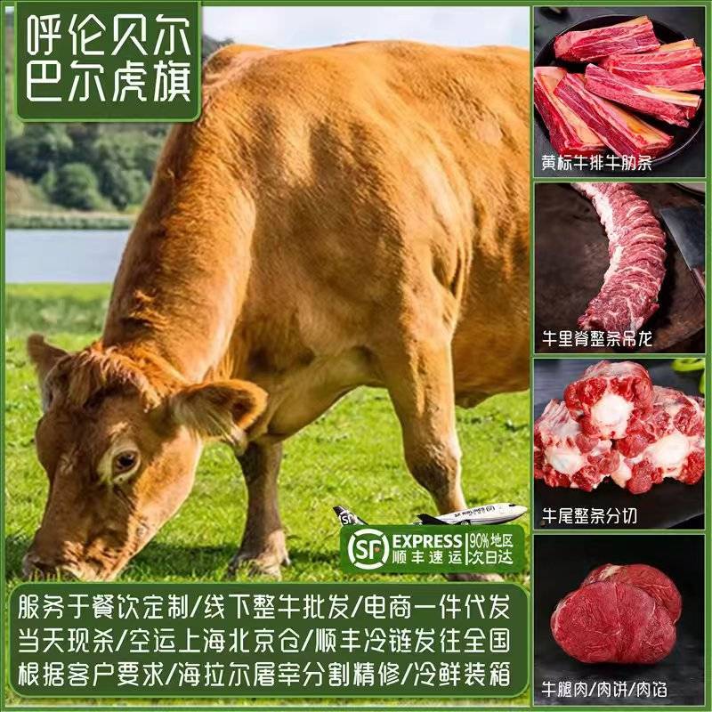 内蒙古全草饲牛肉精分割部位冷鲜肉牧场屠宰发货全程溯源