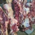 内蒙古全草饲牛肉精分割部位冷鲜肉牧场屠宰发货全程溯源