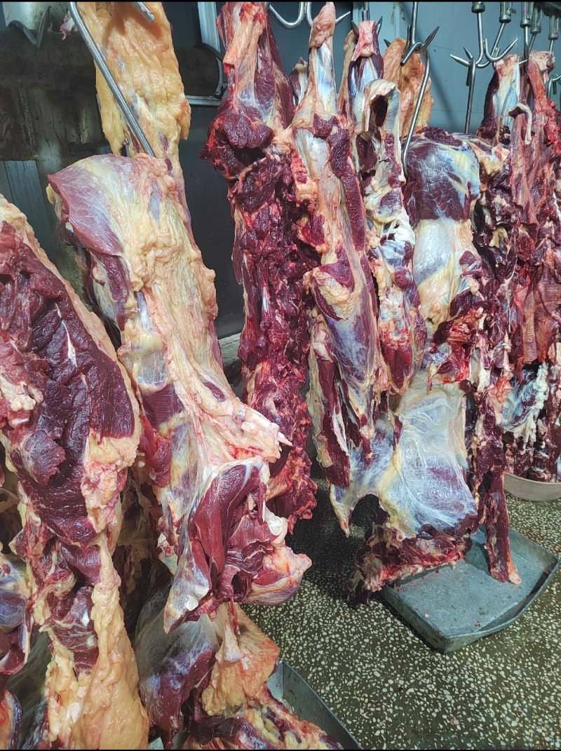 内蒙古全草饲牛肉精分割部位冷鲜肉牧场屠宰发货全程溯源