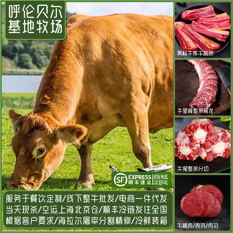 内蒙古全草饲牛肉精分割部位冷鲜肉牧场屠宰发货全程溯源
