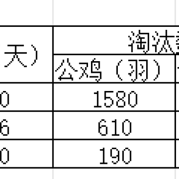 古典公鸡200-360天都有货玉林装