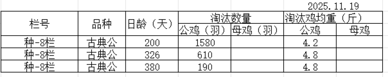 古典公鸡200-360天都有货玉林装