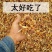 《包邮》东北小黄蘑基地直发对接全国量大从优欢迎来电咨询