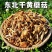 《包邮》东北小黄蘑基地直发对接全国量大从优欢迎来电咨询