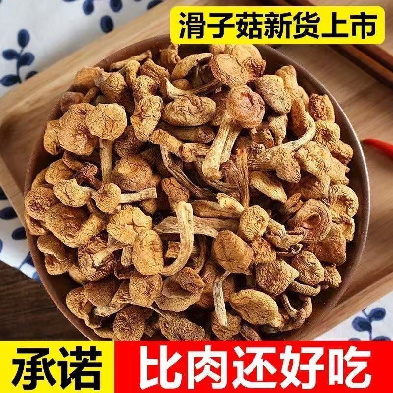 《包邮》东北小黄蘑基地直发对接全国量大从优欢迎来电咨询