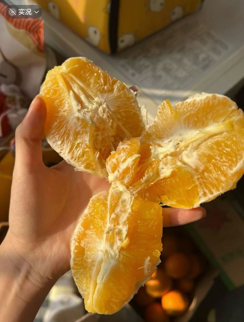 自家果园，深山里种的正宗赣南脐橙，很实惠