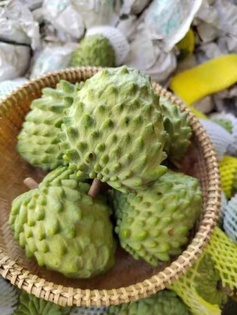 凤梨释迦果广西产地直销量大从优可视频看货对接全国