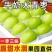 《畅销》福建牛奶大青枣大量上市中现货直发对接商超团购等