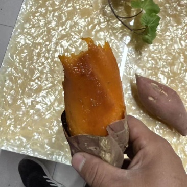 唐山烟薯精品