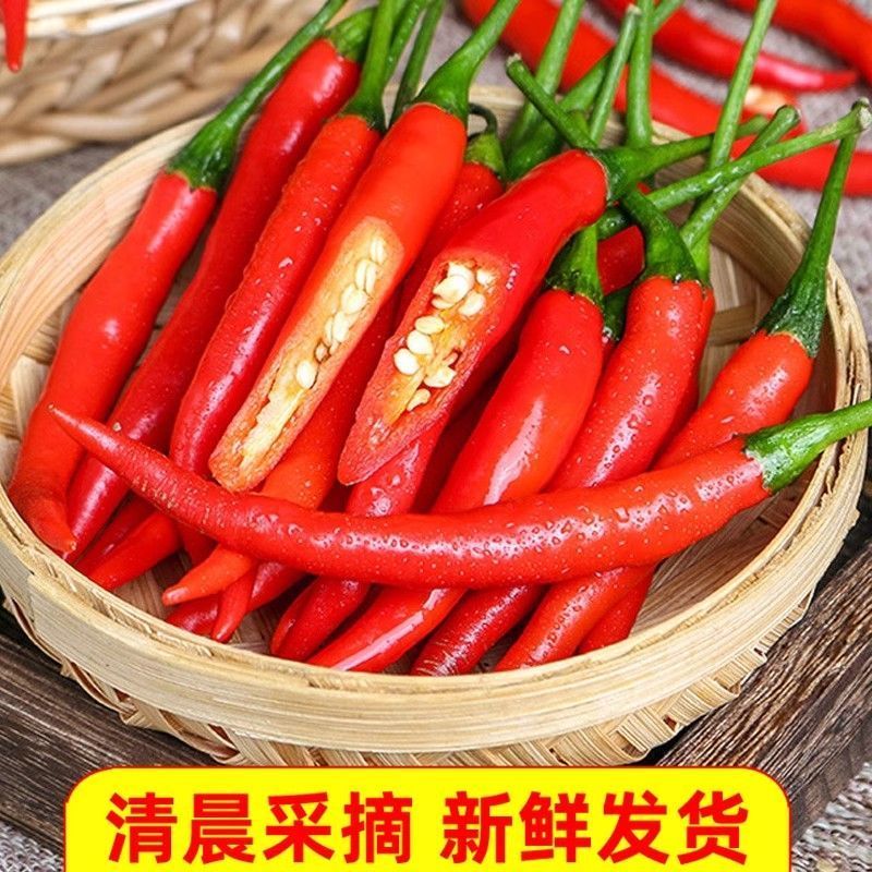 精品小米红尖椒今日特价欢迎新老朋友积极采购电商超市市场