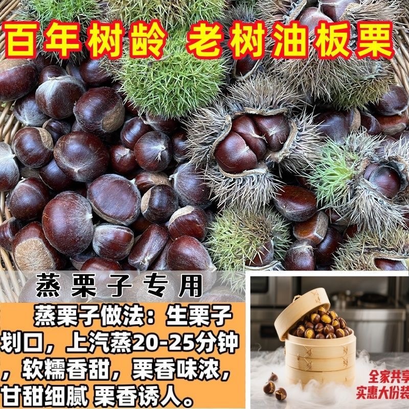 大中小油栗子全部都有货一件代发整车走货