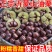 大中小油栗子全部都有货一件代发整车走货
