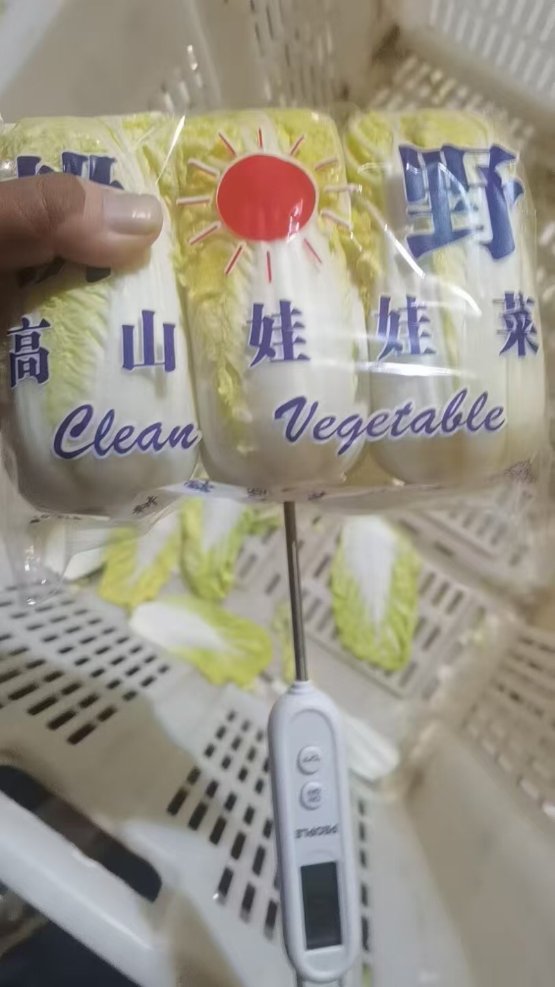 品质保证小娃娃菜精品发货价格合理需要联系