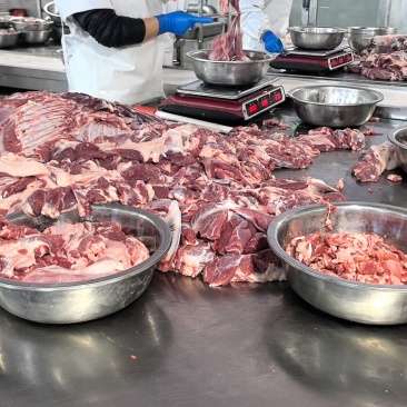 肉卷呼伦贝尔草原源头工厂6-8月羔羊卷对接火锅餐饮门店