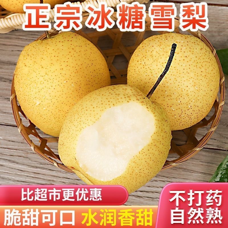 （精选）河北雪花梨产地直销毛毛钱一斤，口感脆甜，货源充足