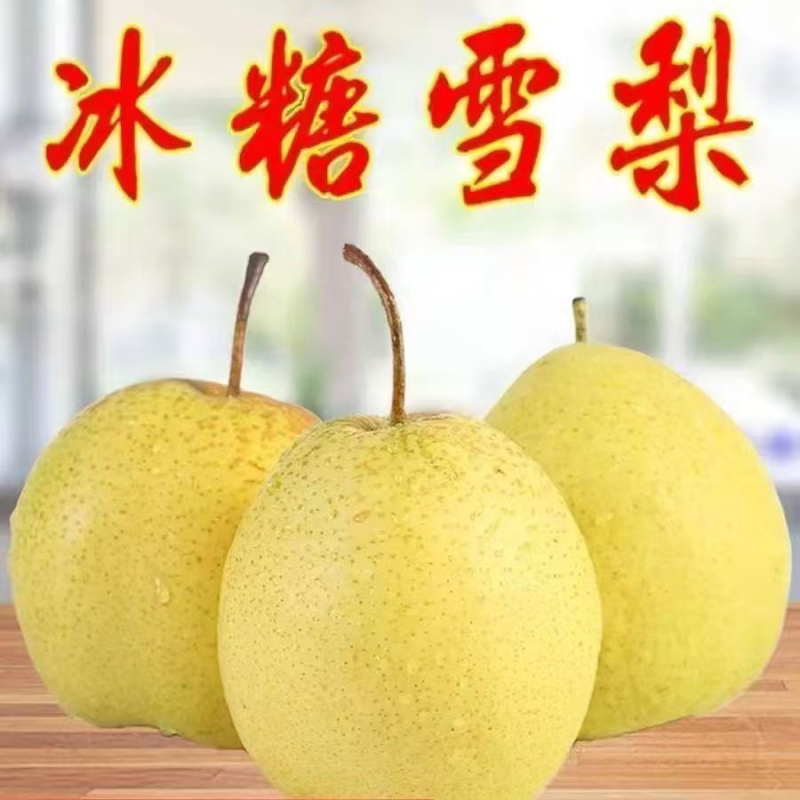 （精选）河北雪花梨产地直销毛毛钱一斤，口感脆甜，货源充足