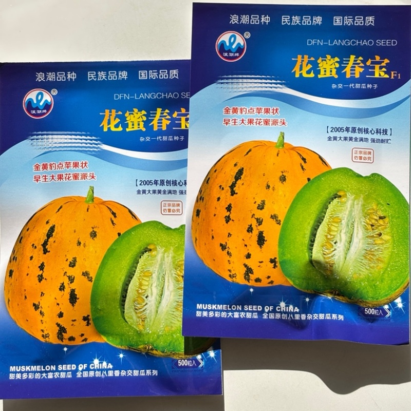 浪潮花密春宝甜瓜种子绿肉花豹纹甜瓜品种