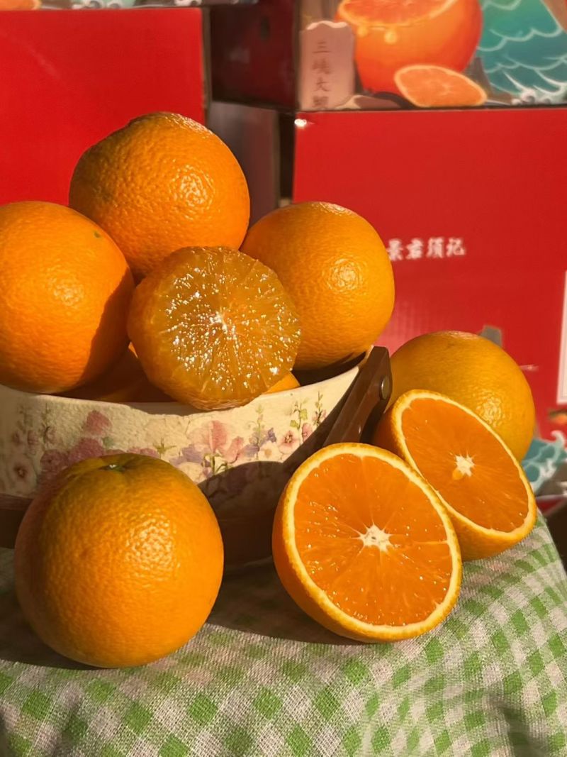 湖北宜昌九月红产地直发货源充足量大价优欢迎随时联系